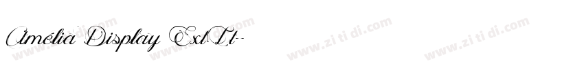 Amélia Display ExtLt字体转换